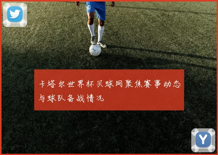 卡塔尔世界杯买球网聚焦赛事动态与球队备战情况