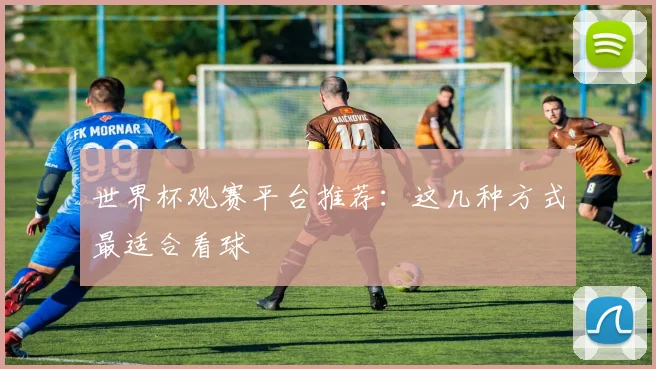 世界杯观赛平台推荐：这几种方式最适合看球