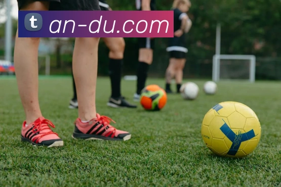 世界杯官方入口服务体系